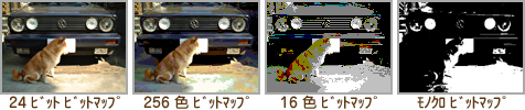 mNC16F256FC24rbg
